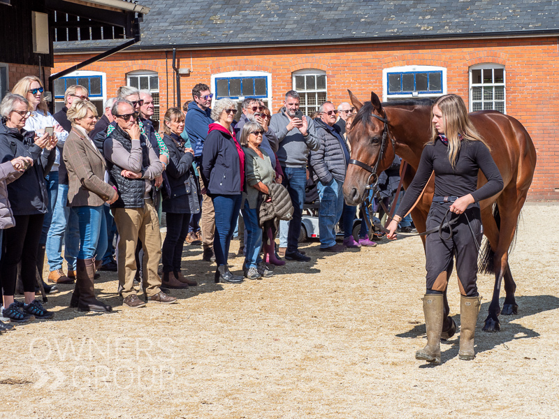 Emma Lavelle Stable Visit - 13 September 2024